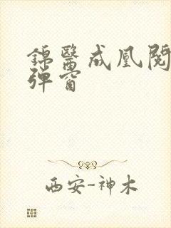 锦医成凰阅读无弹窗