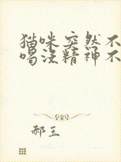 猫咪突然不吃不喝没精神不愿意动封面