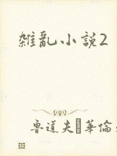 杂乱小说2