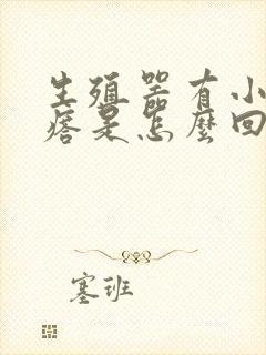 生殖器有小红疙瘩是怎么回事