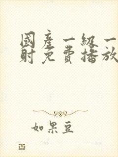 国产一级一片内射免费播放