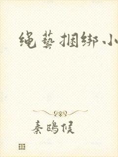 绳艺捆绑小说封面