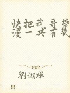 快把我哥带走动漫一共有几季