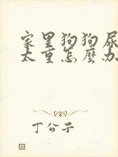 家里狗狗尿骚味太重怎么办