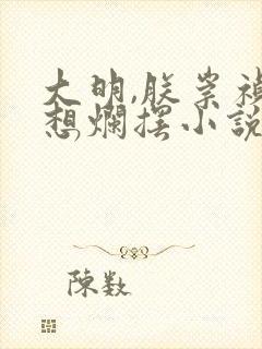 大明,朕崇祯只想烂摆小说封面