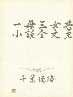 一母三女共一婿小说全文免费阅读封面