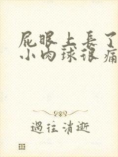 屁眼上长了一个小肉球很痛封面