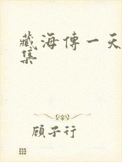 藏海传一天更几集