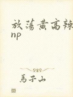 放荡黄高辣h文np