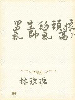 男生的头像 霸气 帅气 高冷