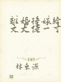 离婚后嫁给年代文大佬一寸墨封面