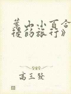 叶山小百合《婚后的旅行》电影在线观看