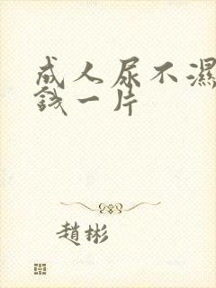 成人尿不湿多少钱一片