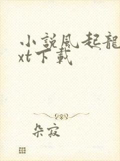 小说风起龙城txt下载