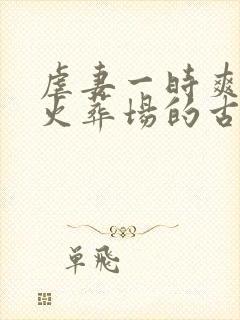 虐妻一时爽追妻火葬场的古言小说封面