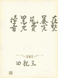 扫黑风暴在线观看免费完整版