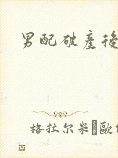 男配破产后封面