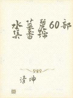 水菜丽60部合集番号