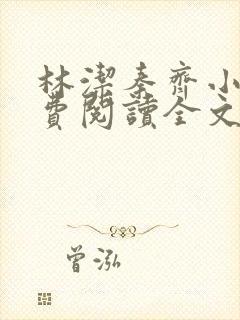 林洁秦齐小说免费阅读全文最新章节