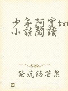 少年阿宾txt小说阅读封面