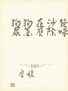 狗狗在沙发上拉尿怎么除味