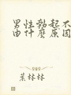 男性勃起不坚是由什么原因引起的