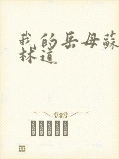 我的岳母苏沛真林道封面