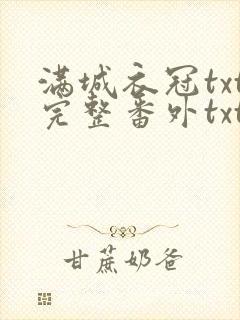 满城衣冠txt完整番外txt