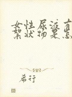 女性尿液有白色絮状物是怎么回事封面