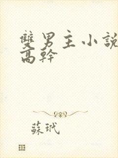 双男主小说推荐高干