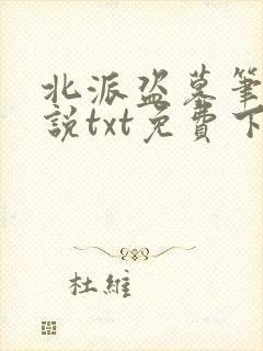 北派盗墓笔记小说txt免费下载