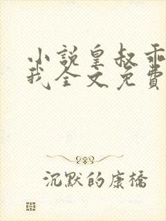 小说皇叔乖乖宠我全文免费阅读封面