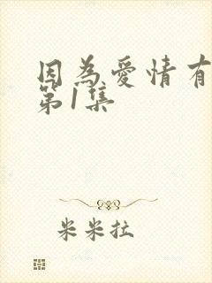 因为爱情有多美第1集