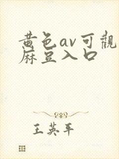 黄色av可观看麻豆入口