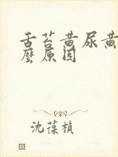 舌苔黄尿黄是什么原因