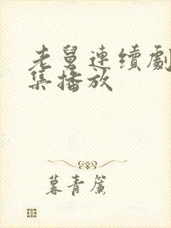 老舅连续剧40集播放封面