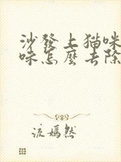 沙发上猫咪尿骚味怎么去除封面