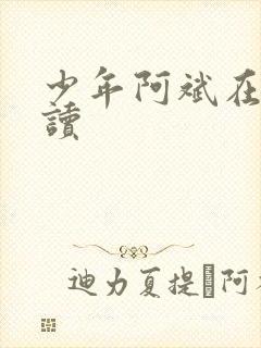 少年阿斌在线阅读