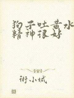 狗子吐黄水但是精神很好