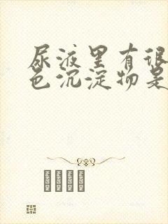 尿液里有很多白色沉淀物是什么原因