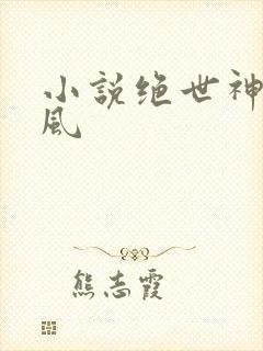小说绝世神皇楚风
