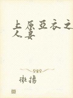 上原亚衣之偷虐人妻