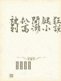 被扒开腿狂躁c到高潮小说麻豆~封面