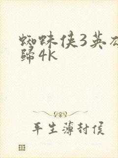 蜘蛛侠3英雄无归4k