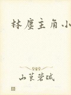 林尘主角小说封面