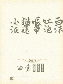 小猫呕吐白色粘液还带泡沫