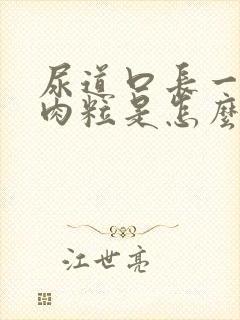 尿道口长一些小肉粒是怎么回事啊已