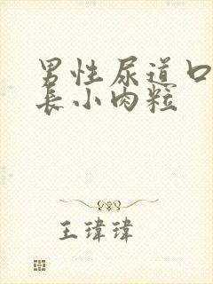 男性尿道口皮上长小肉粒