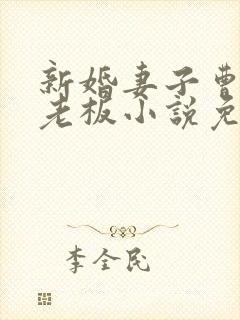 新婚妻子曹仁菜老板小说免费阅读封面