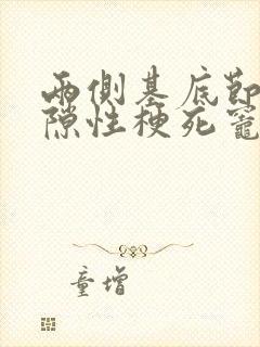 两侧基底节区腔隙性梗死灶